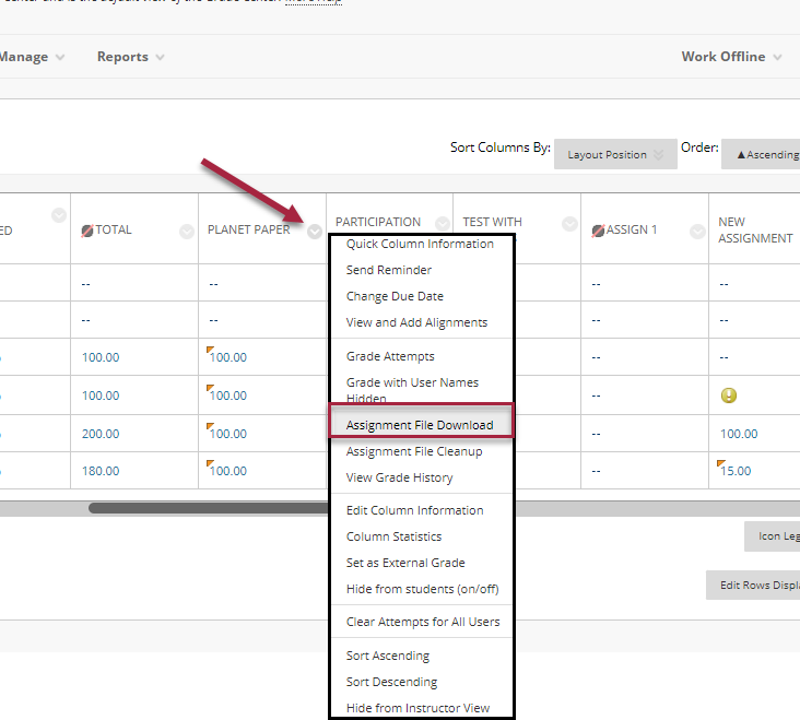 Select Assignment File Download from GradeCenter