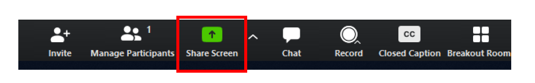 a screenshot of the share screen option on the zoom meeting control panel