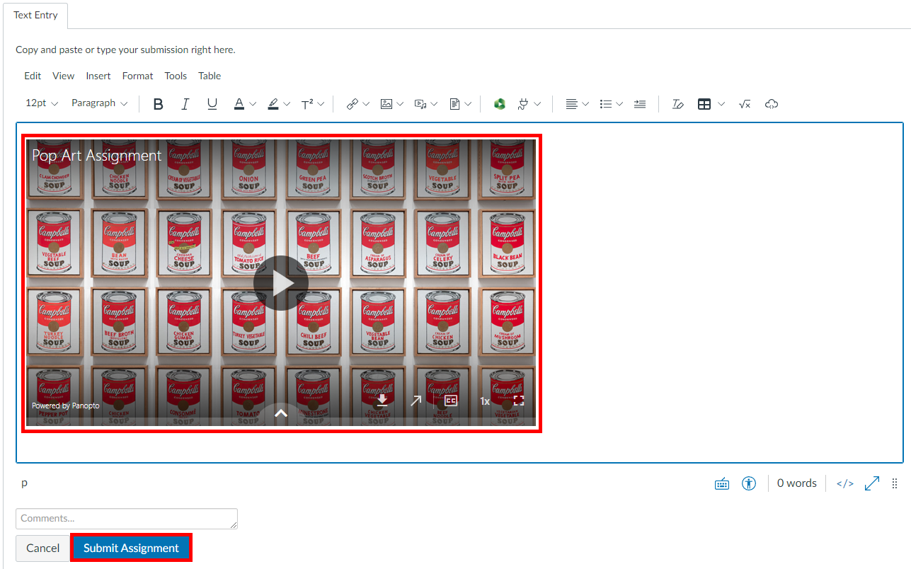 Assignment editor, Canvas. The Panopto video is embedded in the assignment text editor and highlighted by a red box, as is the button "Submit Assignment" in the lower right hand corner.