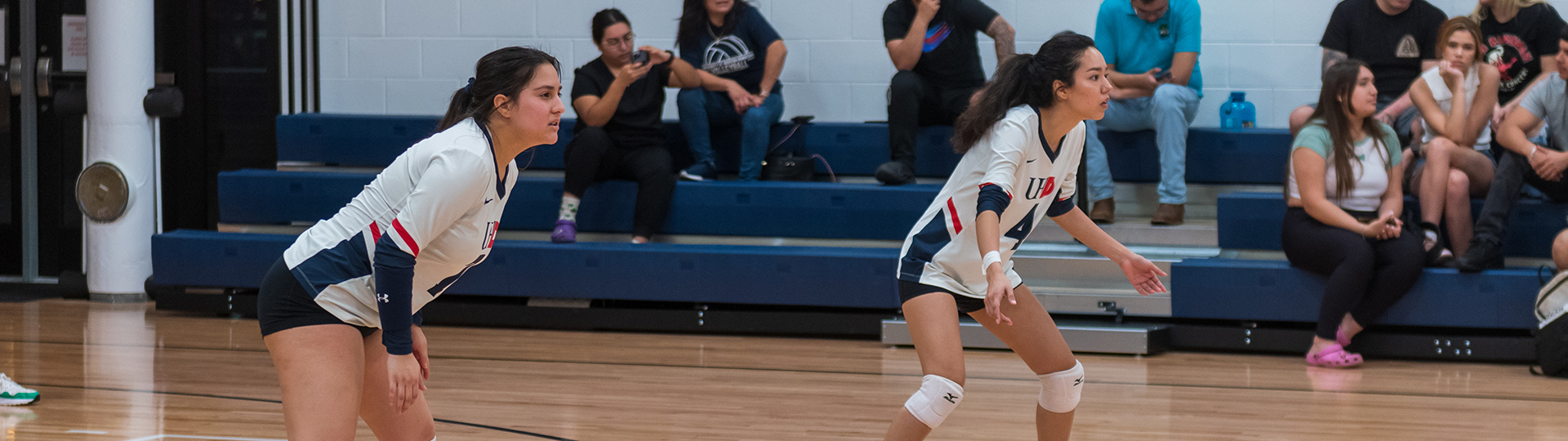 Women's Volleyball Photo 3